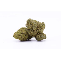 BLUME AMNESIA 3.0 - 10% THCP