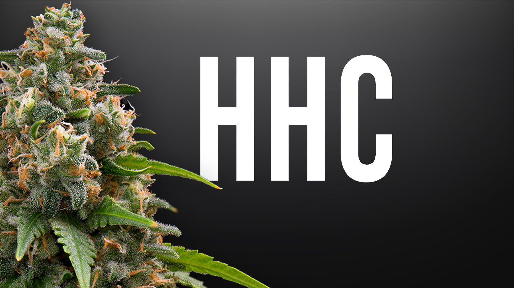 HHC FLOWERS