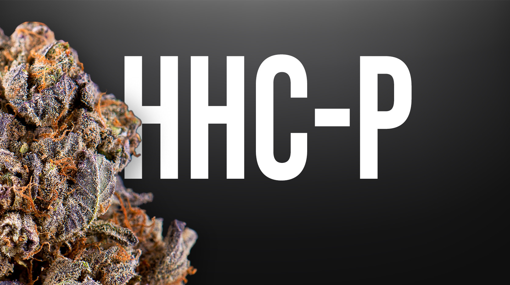 HHC-P