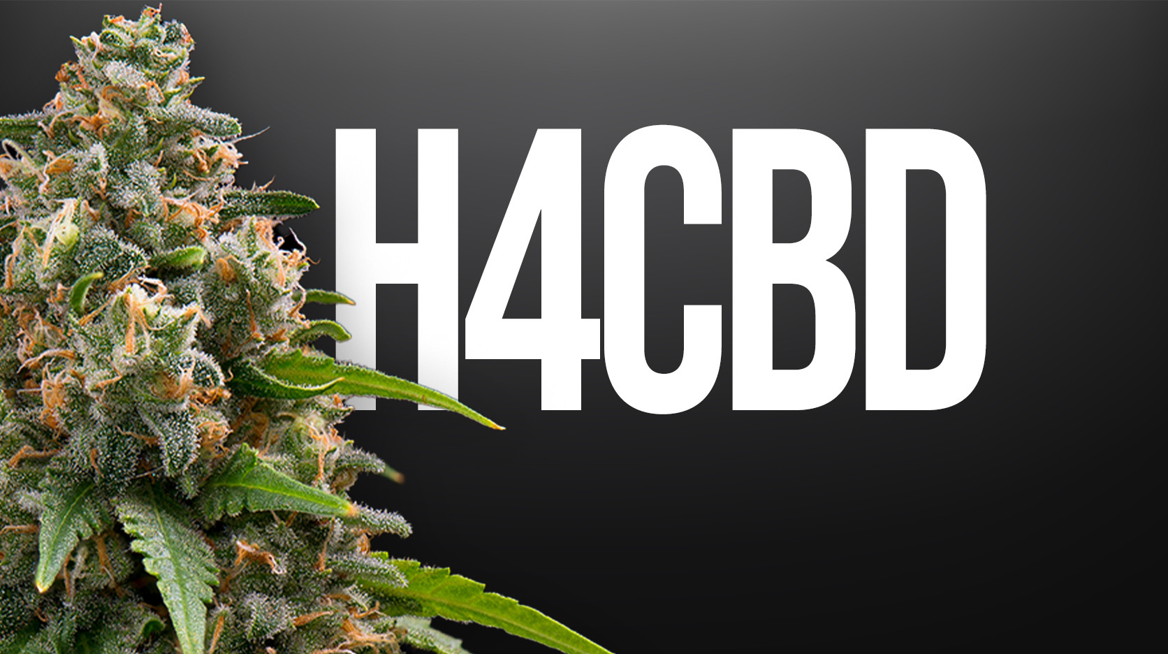 Flowers H4CBD