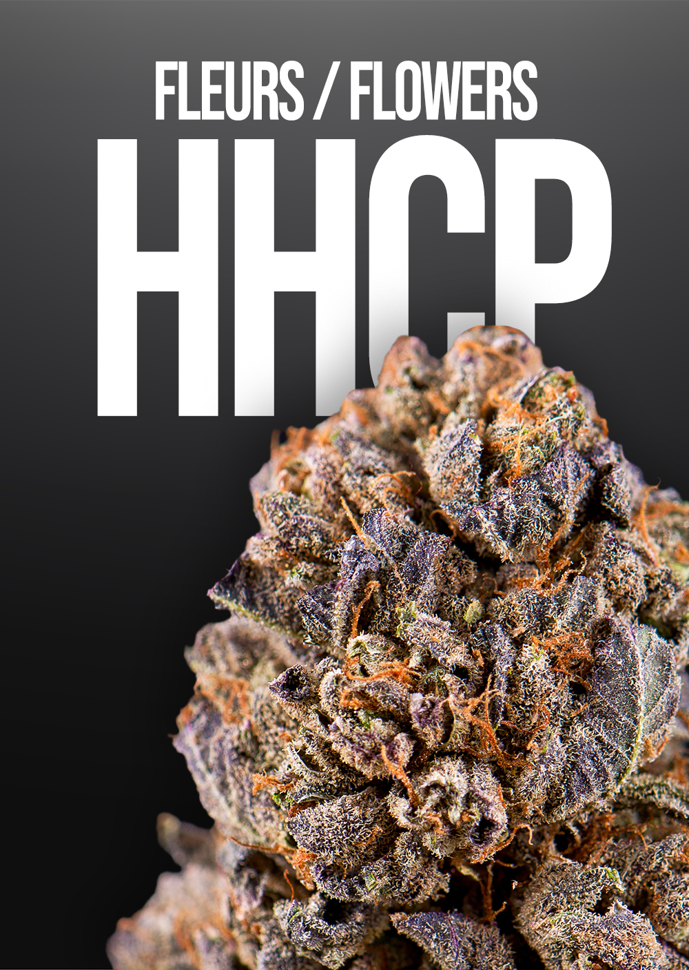 Fleurs HHCP CBD